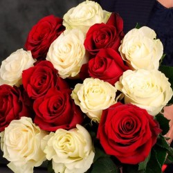 orig (3) (1)16